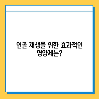 무릎 연골 건강 지키는 효과적인 영양제 추천 | 무릎 통증 완화, 연골 재생, 관절 건강