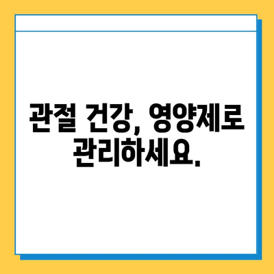 무릎 연골 건강 지키는 효과적인 영양제 추천 | 무릎 통증 완화, 연골 재생, 관절 건강