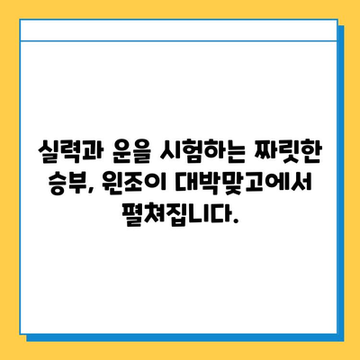 윈조이 대박맞고 & 넷마블 고스톱 다운로드| 지금 바로 즐겨보세요! | 윈조이, 넷마블, 고스톱, 게임 다운로드, 온라인 게임