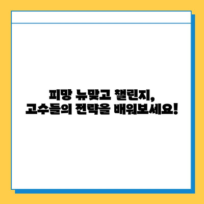 피망 뉴맞고 챌린지| 모바일 고스톱 실력 향상의 기회! |  피망 뉴맞고, 고스톱 챌린지, 모바일 게임