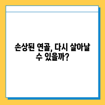 연골 성장판의 미래| 치료와 기술의 발전 | 성장판, 연골 재생, 의료 기술, 미래 의학