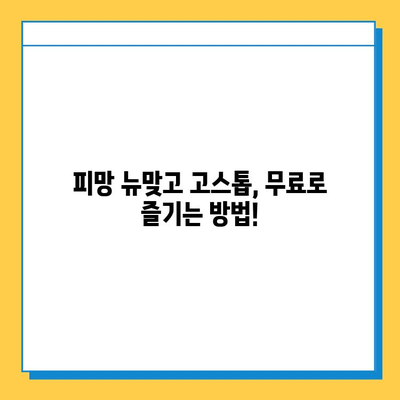 피망 뉴맞고 고스톱 무료로 즐기는 방법 | 설치부터 플레이까지 완벽 가이드