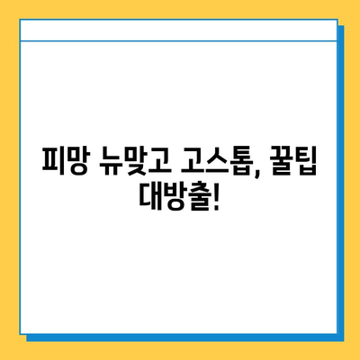 피망 뉴맞고 고스톱 점수 계산 & 족보 완벽 정리 | 고스톱 점수 계산, 족보, 게임 팁