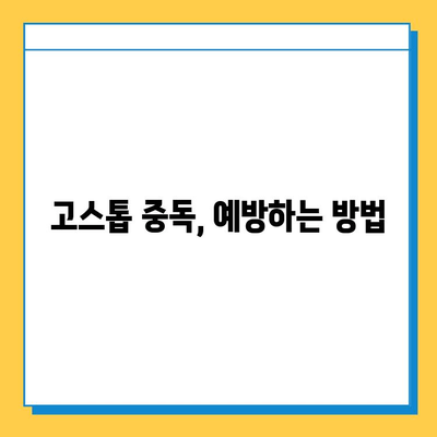 책임감 있는 고스톱 게임, 즐겁게 즐기는 방법 | 건전한 게임 문화, 중독 예방, 건전한 플레이 팁