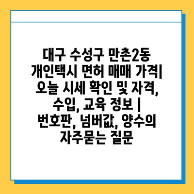 대구 수성구 만촌2동 개인택시 면허 매매 가격| 오늘 시세 확인 및 자격, 수입, 교육 정보 | 번호판, 넘버값, 양수