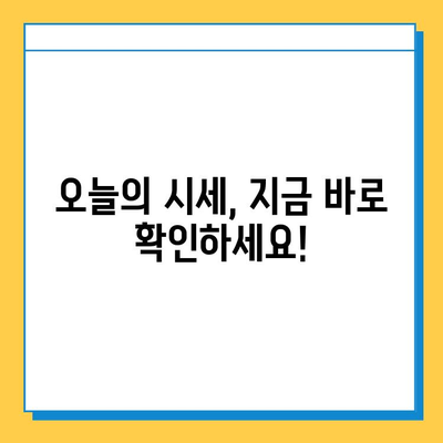 강원도 고성군 간성읍 개인택시 면허 매매 가격| 오늘 시세 확인 & 자격조건 | 월수입 | 양수교육