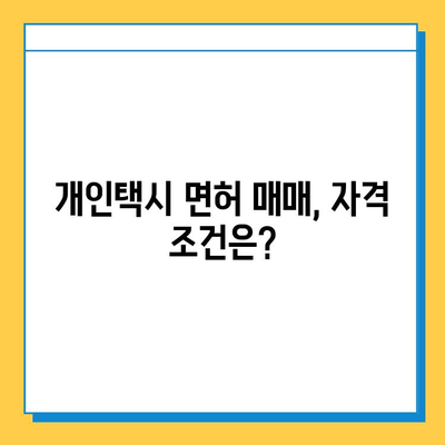 강원도 고성군 간성읍 개인택시 면허 매매 가격| 오늘 시세 확인 & 자격조건 | 월수입 | 양수교육