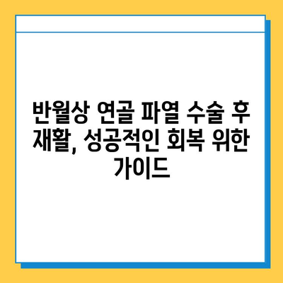 반월상 연골 파열, 수술이 꼭 필요할까요? 시기 적절한 치료 판단 가이드 | 반월상 연골 파열, 치료, 수술, 재활