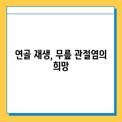 무릎 관절염, 연골 임플란트가 어떻게 도움이 될까요? | 무릎 관절염 치료, 연골 재생, 관절염 증상 완화