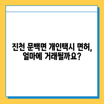 진천 문백면 개인택시 면허 매매 가격 & 시세 정보 | 오늘 기준, 넘버값, 자격조건, 월수입, 양수교육