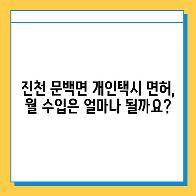 진천 문백면 개인택시 면허 매매 가격 & 시세 정보 | 오늘 기준, 넘버값, 자격조건, 월수입, 양수교육