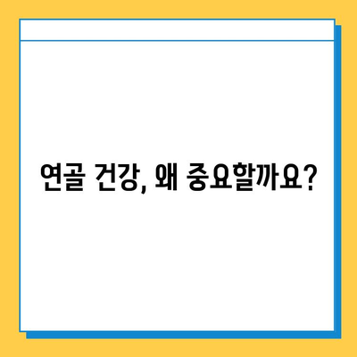 못난이가 말하는 연골 강화 영양소| 건강한 관절을 위한 필수 영양소 가이드 | 연골 건강, 관절 건강, 영양소, 건강 정보