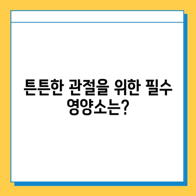 못난이가 말하는 연골 강화 영양소| 건강한 관절을 위한 필수 영양소 가이드 | 연골 건강, 관절 건강, 영양소, 건강 정보