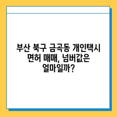 부산 북구 금곡동 개인택시 면허 매매 가격| 오늘 시세 & 자격조건 | 월수입, 넘버값, 양수교육