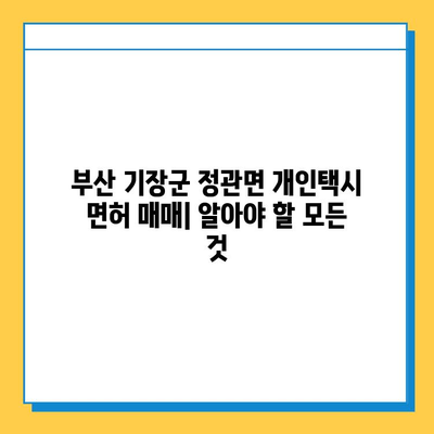 부산 기장군 정관면 개인택시 면허 매매 가격 | 오늘 시세, 넘버값, 자격조건, 월수입, 양수교육