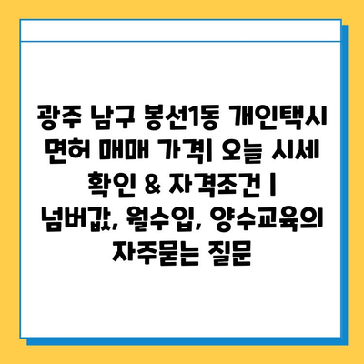 광주 남구 봉선1동 개인택시 면허 매매 가격| 오늘 시세 확인 & 자격조건 | 넘버값, 월수입, 양수교육