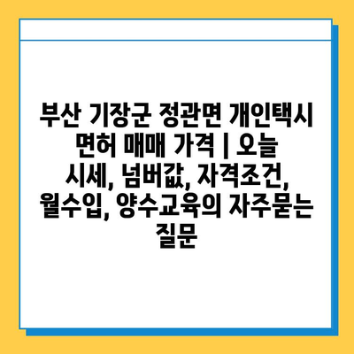 부산 기장군 정관면 개인택시 면허 매매 가격 | 오늘 시세, 넘버값, 자격조건, 월수입, 양수교육