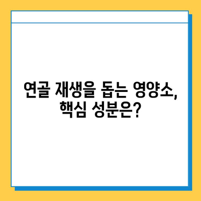 무릎 연골 건강을 위한 효과적인 영양제 추천 | 무릎 통증, 관절 건강, 연골 재생