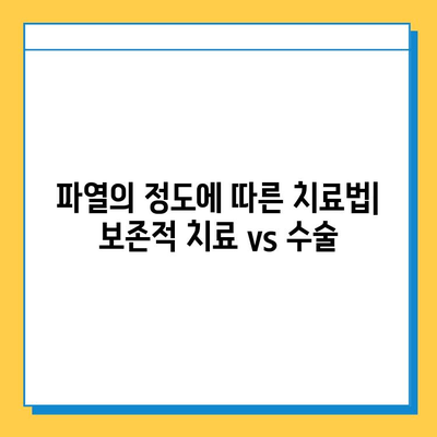 반월상연골 파열 vs 십자인대 파열| 치료법 비교 및 차이점 | 무릎 부상, 운동, 재활