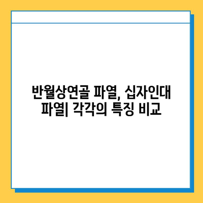 반월상연골 파열 vs 십자인대 파열| 치료법 비교 및 차이점 | 무릎 부상, 운동, 재활