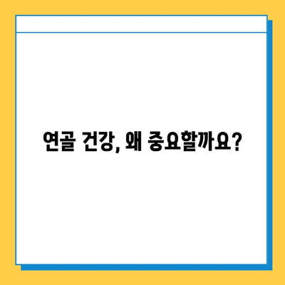 연골 건강 위한 선택! 효과적인 연골 영양제 추천 가이드 | 관절 건강, 연골 재생, 영양제 비교