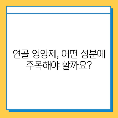 연골 건강 위한 선택! 효과적인 연골 영양제 추천 가이드 | 관절 건강, 연골 재생, 영양제 비교