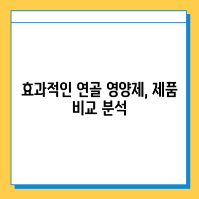 연골 건강 위한 선택! 효과적인 연골 영양제 추천 가이드 | 관절 건강, 연골 재생, 영양제 비교