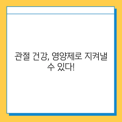 관절연골 영양제 효과, 눈에 띄는 변화 비교 후기| 5가지 제품 분석 | 관절 건강, 연골 재생, 영양제 추천, 비교 리뷰