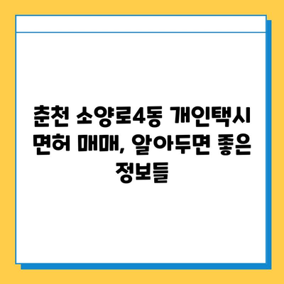 춘천 소양로4동 개인택시 면허 매매 가격 & 시세 정보| 오늘의 넘버값, 자격조건, 월수입, 양수교육 | 상세 가이드