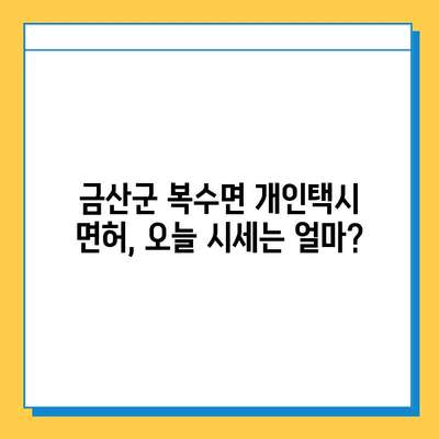 금산군 복수면 개인택시 면허 매매 가격| 오늘 시세 확인 및 자격조건 | 월수입 | 양수교육