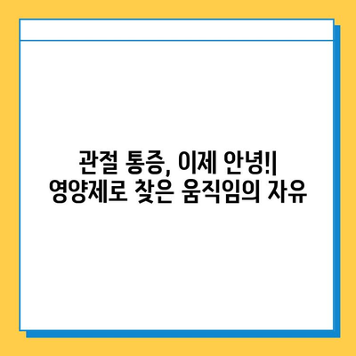 관절 연골 영양제 후기| 내 삶을 바꾼 놀라운 변화 | 관절 통증, 연골 재생, 건강 기능 식품