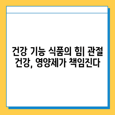 관절 연골 영양제 후기| 내 삶을 바꾼 놀라운 변화 | 관절 통증, 연골 재생, 건강 기능 식품