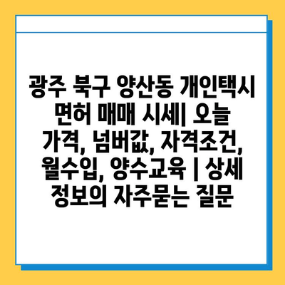 광주 북구 양산동 개인택시 면허 매매 시세| 오늘 가격, 넘버값, 자격조건, 월수입, 양수교육 | 상세 정보