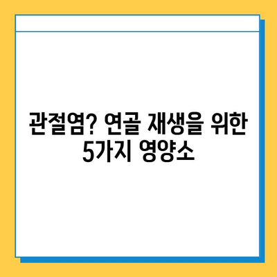 관절통 영양제| 무릎 연골 건강을 위한 핵심 성분 5가지 | 관절염, 연골 재생, 건강 기능성, 영양제 추천