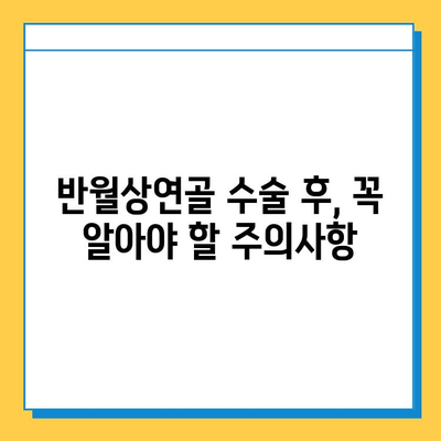 반월상연골 파열수술 후 재활, 성공적인 회복을 위한 필수 가이드 |  재활 운동, 주의사항, 회복 기간