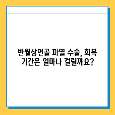 반월상연골 파열수술 후 재활, 성공적인 회복을 위한 필수 가이드 |  재활 운동, 주의사항, 회복 기간