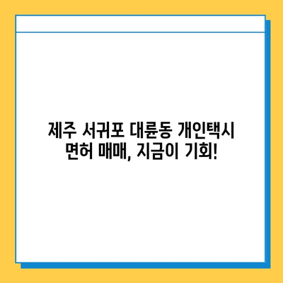 제주도 서귀포시 대륜동 개인택시 면허 매매 가격| 오늘 시세 확인 & 자격조건 | 월수입 | 양수교육 | 번호판 (넘버값)