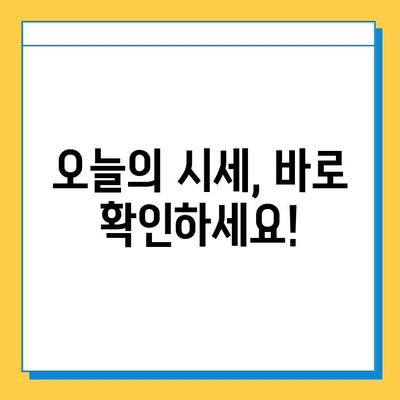 제주도 서귀포시 대륜동 개인택시 면허 매매 가격| 오늘 시세 확인 & 자격조건 | 월수입 | 양수교육 | 번호판 (넘버값)