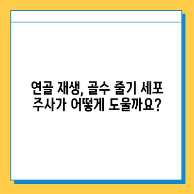 무릎 연골 연화증, 골수 줄기 세포 주사로 치료 가능할까요? | 연골 재생, 치료 효과, 주의 사항