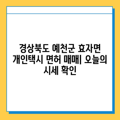 경상북도 예천군 효자면 개인택시 면허 매매 시세 & 정보| 오늘의 가격, 넘버값, 자격, 월수입, 양수교육 | 효자면 개인택시 면허 매매, 택시 시세, 넘버 값, 면허 양수