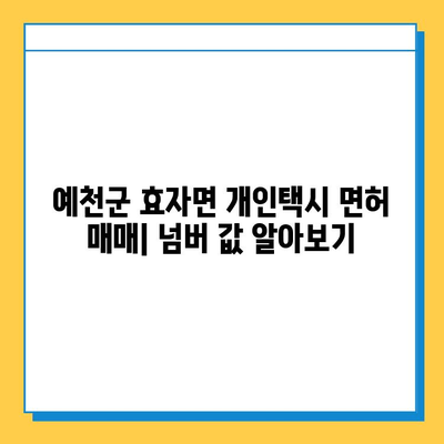 경상북도 예천군 효자면 개인택시 면허 매매 시세 & 정보| 오늘의 가격, 넘버값, 자격, 월수입, 양수교육 | 효자면 개인택시 면허 매매, 택시 시세, 넘버 값, 면허 양수