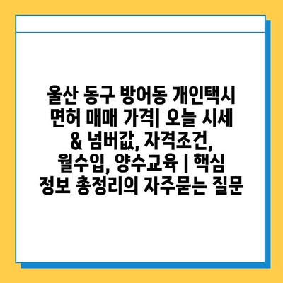 울산 동구 방어동 개인택시 면허 매매 가격| 오늘 시세 & 넘버값, 자격조건, 월수입, 양수교육 | 핵심 정보 총정리