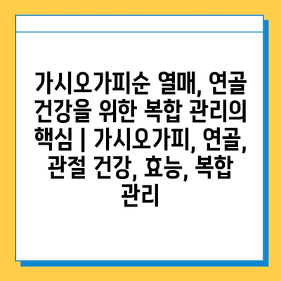 가시오가피순 열매, 연골 건강을 위한 복합 관리의 핵심 | 가시오가피, 연골, 관절 건강, 효능, 복합 관리