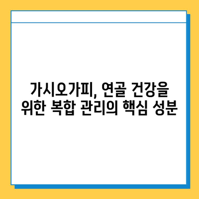 가시오가피순 열매, 연골 건강을 위한 복합 관리의 핵심 | 가시오가피, 연골, 관절 건강, 효능, 복합 관리