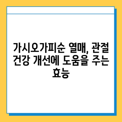 가시오가피순 열매, 연골 건강을 위한 복합 관리의 핵심 | 가시오가피, 연골, 관절 건강, 효능, 복합 관리