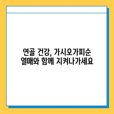 가시오가피순 열매, 연골 건강을 위한 복합 관리의 핵심 | 가시오가피, 연골, 관절 건강, 효능, 복합 관리