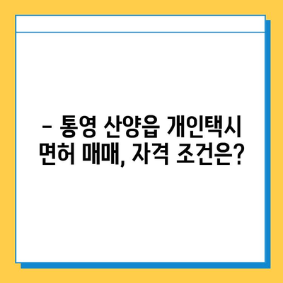 통영 산양읍 개인택시 면허 매매 가격| 오늘 시세, 넘버값, 자격조건, 월수입, 양수교육 | 상세 정보 및 가이드