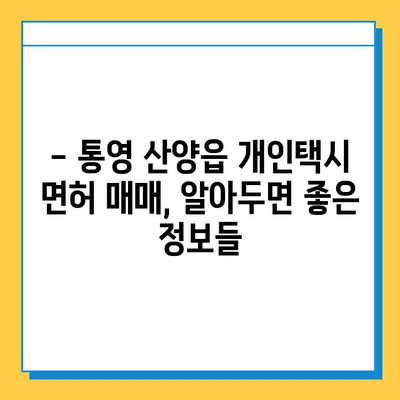 통영 산양읍 개인택시 면허 매매 가격| 오늘 시세, 넘버값, 자격조건, 월수입, 양수교육 | 상세 정보 및 가이드