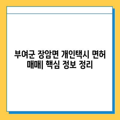 부여군 장암면 개인택시 면허 매매 가격| 오늘 시세, 번호판 넘버값, 자격조건, 월수입, 양수교육 | 상세 정보 가이드