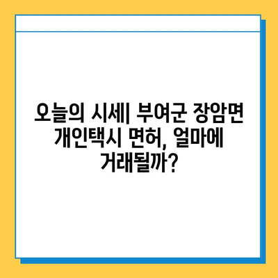 부여군 장암면 개인택시 면허 매매 가격| 오늘 시세, 번호판 넘버값, 자격조건, 월수입, 양수교육 | 상세 정보 가이드